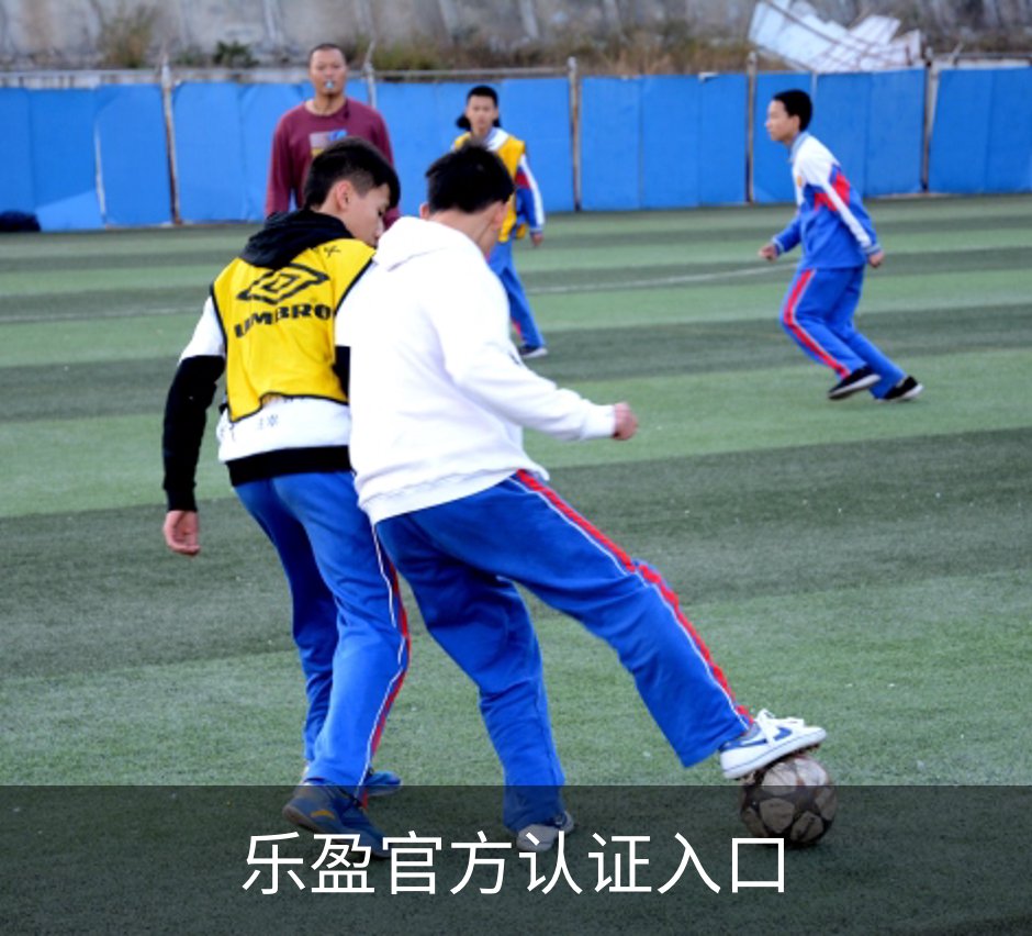 乐盈官方认证入口概况